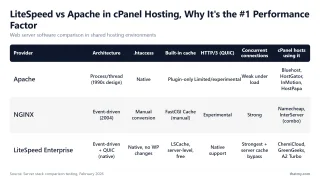 LiteSpeed vs Apache in cPanel Hosting, Why It's the #1 Performance Factor — Web server software comparison in shared hosting environments