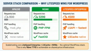 NGINX vs LiteSpeed vs Apache web server performance comparison for WordPress hosting