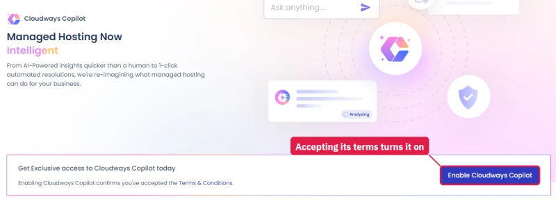 Cloudways Copilot page: early access, enabling it confirms you accept its terms and conditions