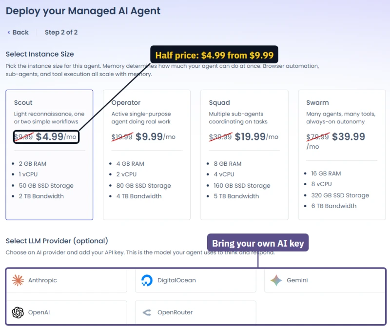 Cloudways Managed AI Agent sizes Scout to Swarm at half price, and a choice of five AI key providers
