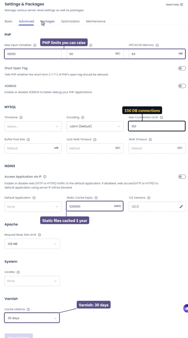 Cloudways server Advanced settings: PHP limits, MySQL connections, Nginx TLS and Varnish lifetime