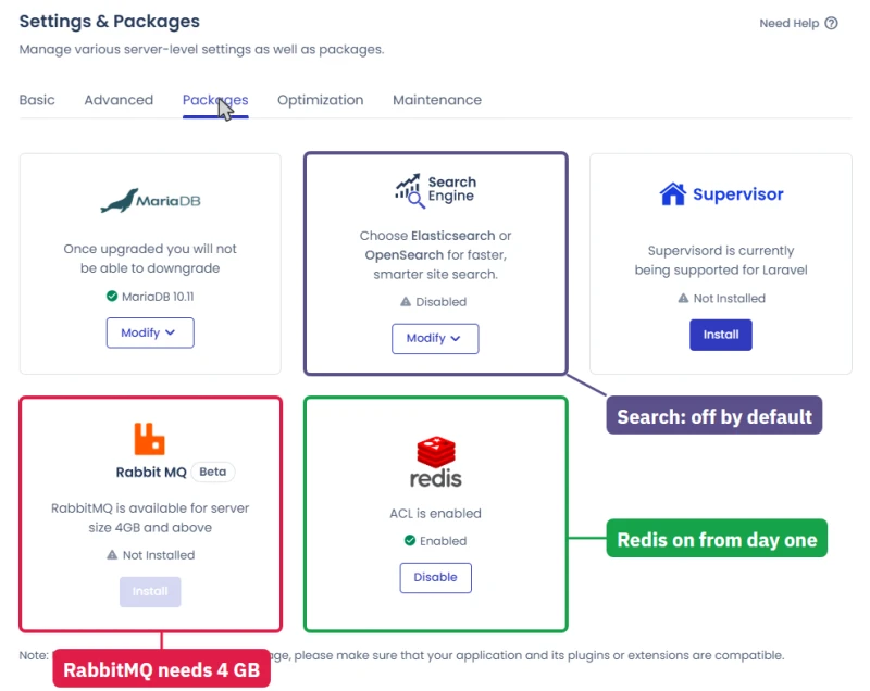 Cloudways server Packages tab: MariaDB, search engine off, Supervisor, RabbitMQ beta and Redis on