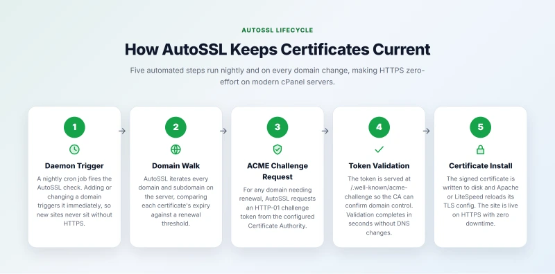 Five-step AutoSSL flow: Daemon Trigger, Domain Walk, ACME Challenge Request, Token Validation, and Certificate Install.
