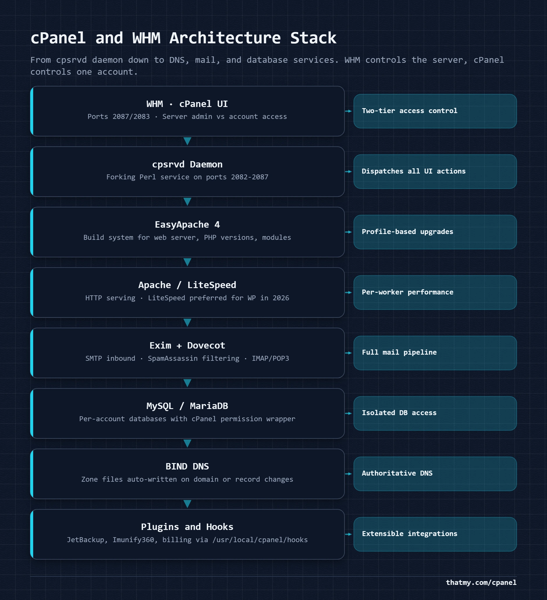 cPanel and WHM stack: cpsrvd, exim, MySQL, BIND, and EasyApache; WHM runs the host, cPanel runs one account inside it