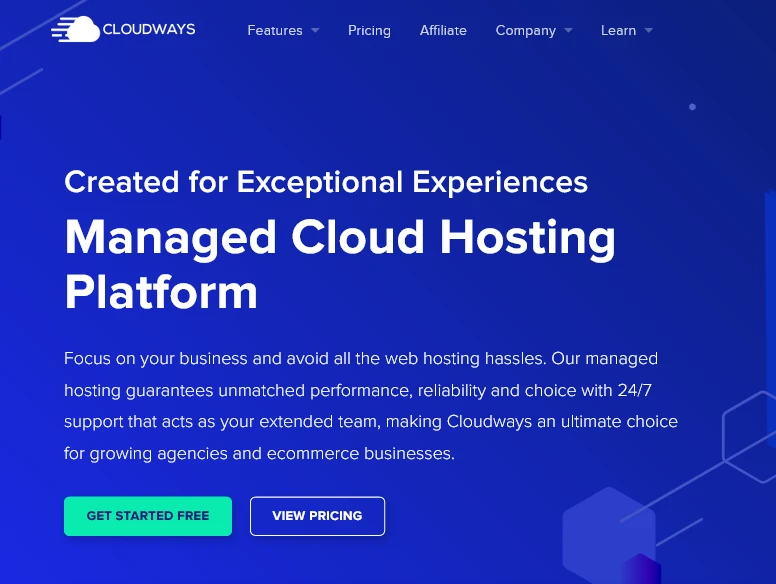 Cloudways WordPress hosting speed review