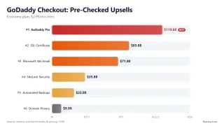 GoDaddy checkout pre-checked upsells total $381.39/yr: Pro $119.88, SSL $83.88, M365 $71.88, SiteLock $71.88, Domain Privacy $9.99, Backups $23.88