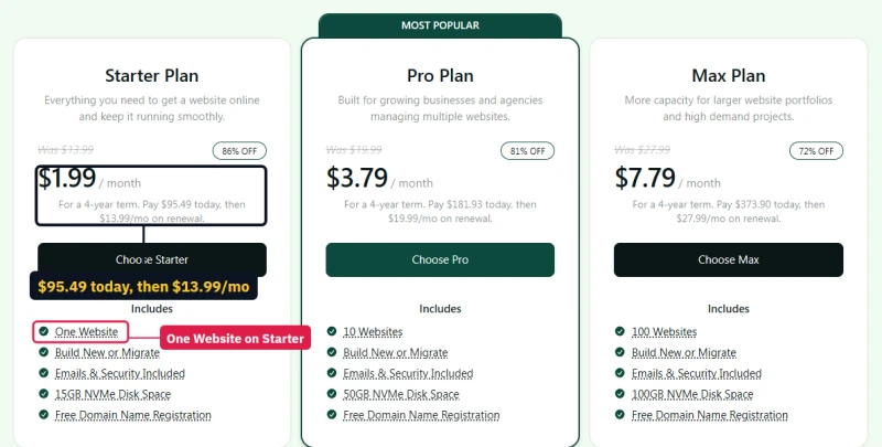 hosting.com cPanel plan cards: Starter One Website, Pro 10 Websites, Max 100 Websites at the same prices