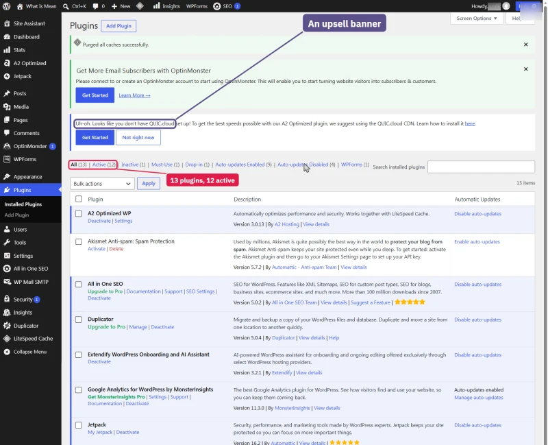 WordPress plugins page after a hosting.com install: 13 plugins, 12 active, under two upsell banners