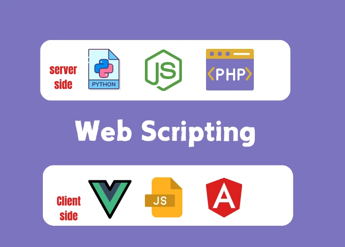 Web Scripting Explained: Client-Side vs Server-Side