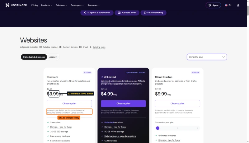 Hostinger plan cards on 12 months: Premium $3.99 a month, $47.88 charged today, renews at $10.99