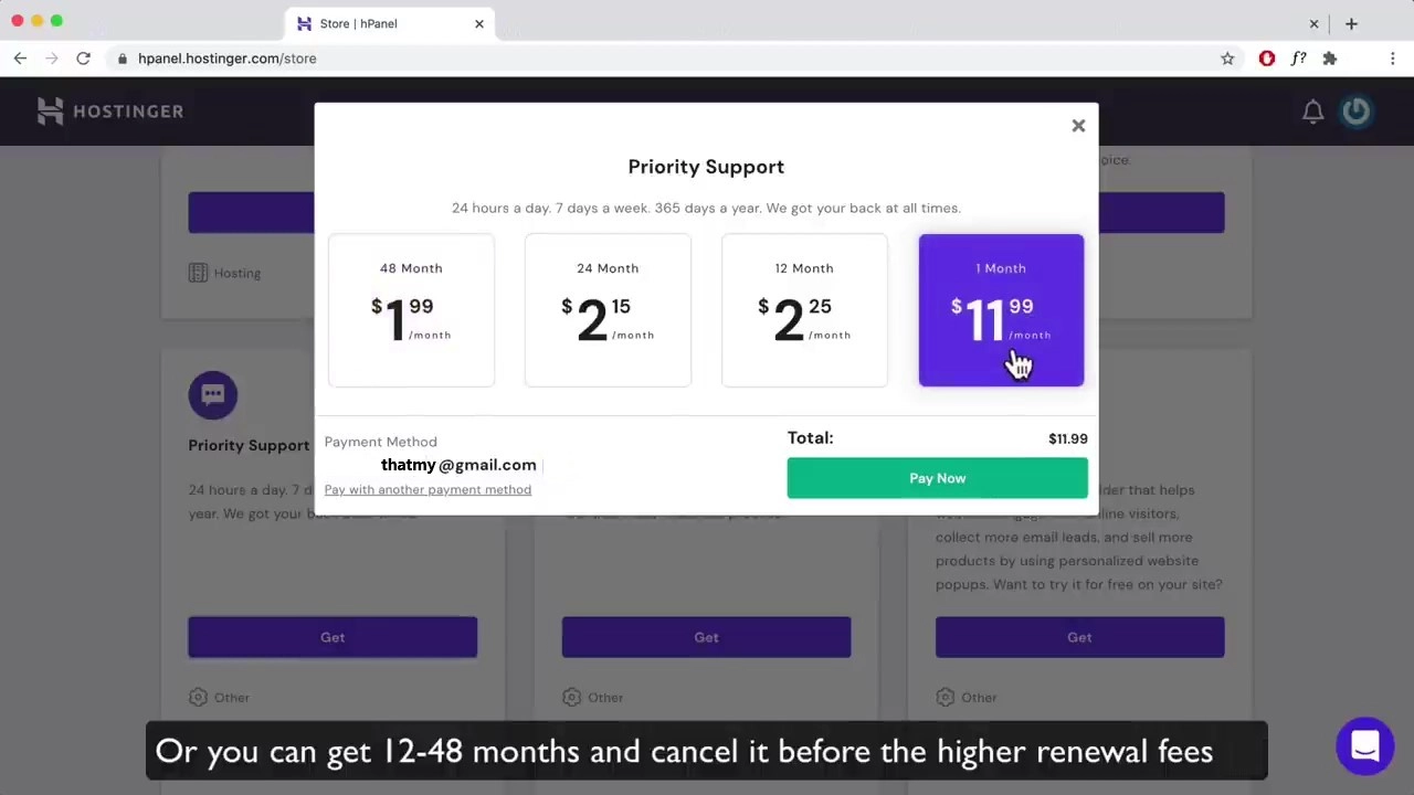 hostinger priority support pricing