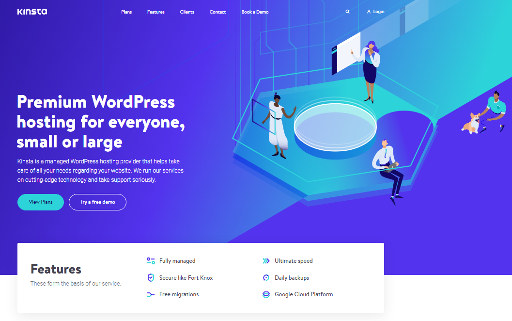 kinsta review for wordpress.png