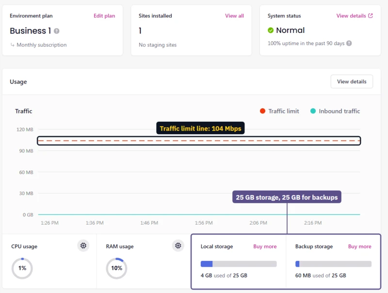 Levamo Business environment overview: 104 Mbps traffic limit line, 25 GB storage and 25 GB for backups