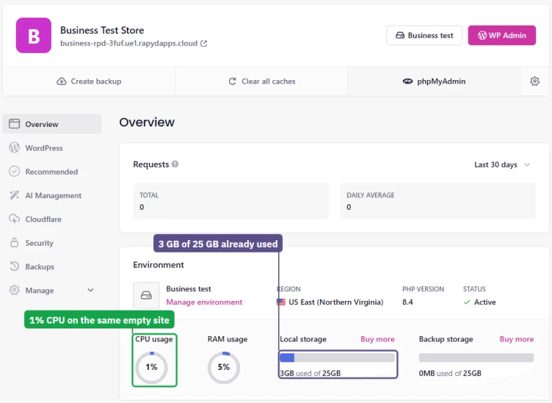 New empty Levamo Business site: 1% CPU at rest and 3 GB of its 25 GB storage used