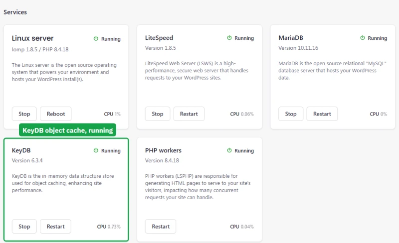 Levamo Business environment Manage page: five services, including KeyDB 6.3.4 running