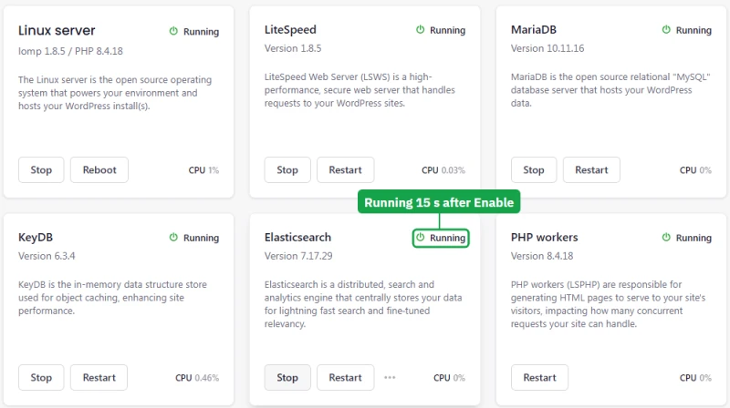 Levamo Performance services: Elasticsearch 7.17.29 running 15 seconds after pressing Enable, beside KeyDB and MariaDB