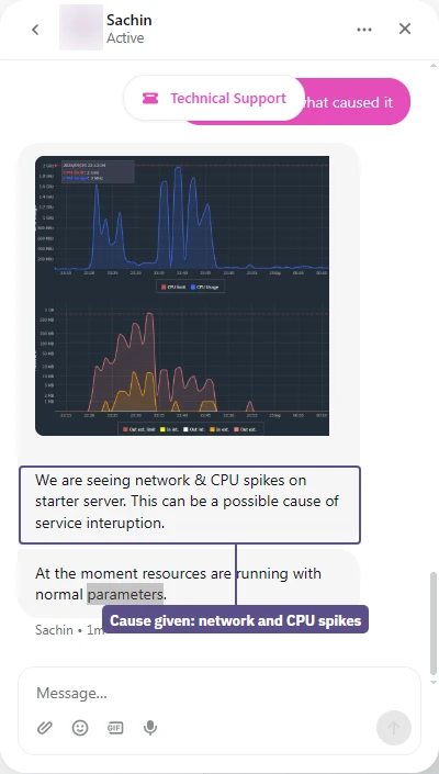 Levamo support names network and CPU spikes on the Starter server as a possible cause